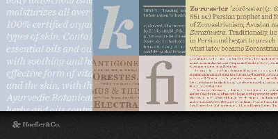 Chronicle Text Font
