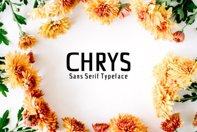 Chrys Sans Serif Font Family Pack