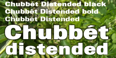 Chubbet Distended Font