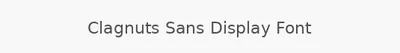 Clagnuts Sans Display Font