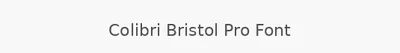 Colibri Bristol Pro Font