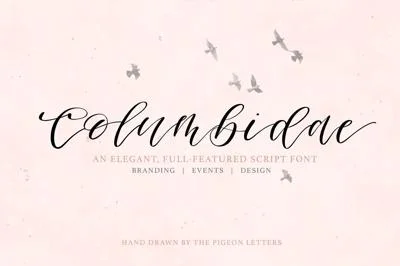 Columbidae Elegant Calligraphy Font