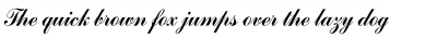 Commercial Script SB