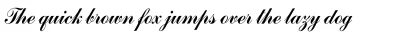 Commercial Script SH