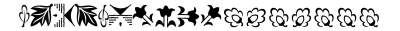 Contemporary Ornaments Font