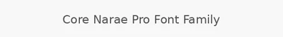 Core Narae Pro Font Family