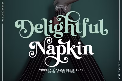 Delightful Napkin Modern Serif Font Free Download