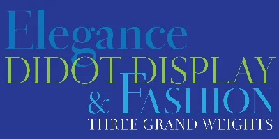 Didot Display Font