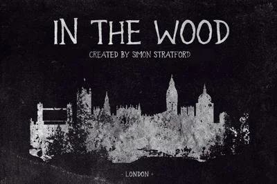 Display font In the wood font