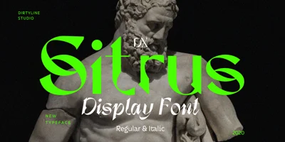 Dx Sitrus Font