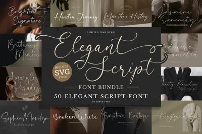Elegant Script Font Bundle