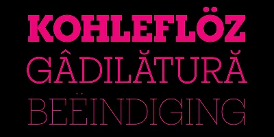 Elizeth Font