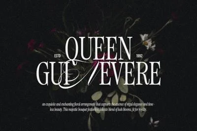 Elyanor A Classic Display Serif Font