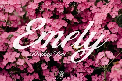 Emely Script Font