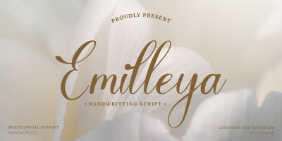 Emilleya Font