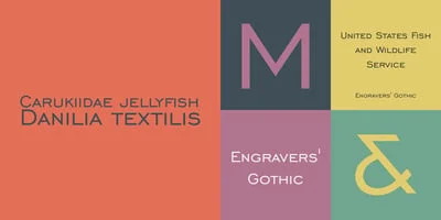 Engravers' Gothic BT Font