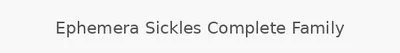 Ephemera Sickles Complete Family