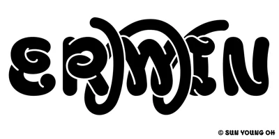 Erwin Font