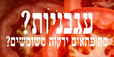 Etzada MF Font