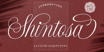 Everything Calligraphy Font
