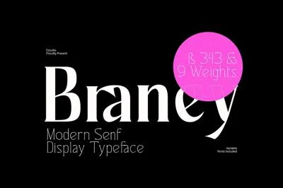 Ez-Barney - Modern Serif Display Font
