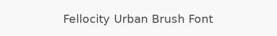 Fellocity Urban Brush Font