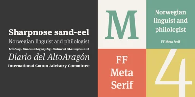 FF Meta Serif Font