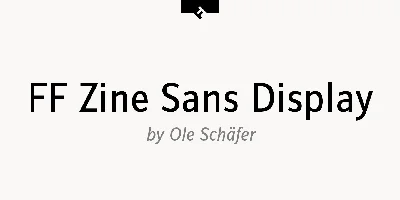 FF Zine Sans Display Font