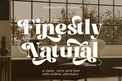 Finestly Natural - Retro Serif Font