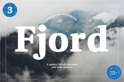 Fjord - Soft Fat Serif Font Free Download