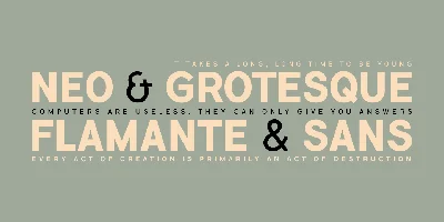 Flamante Sans Font