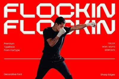 Flockin Display Font