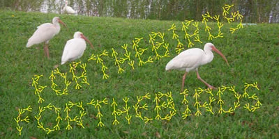 ForTheBirds Font