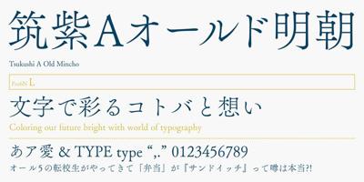 FOT-TsukuAOldMin Pr6N Font Free Download