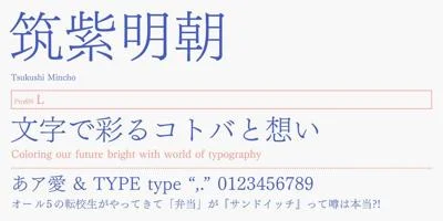 FOT-TsukuMin Pr6N Font