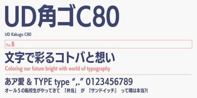 FOT-UDKakugoC80 Pro Font Free Download