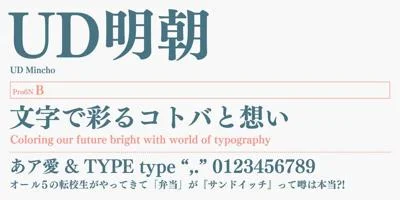 FOT-UDMincho Pr6N Font