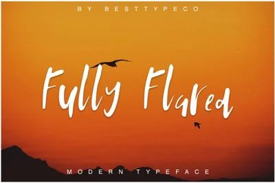 FullyFlared Font