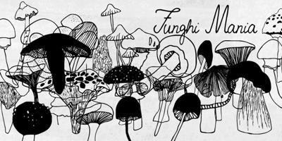 Funghi Mania Free Download