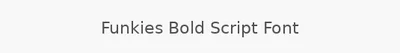 Funkies Bold Script Font