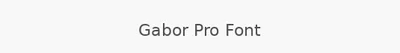 Gabor Pro Font