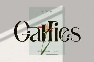 Gallies Ligature Serif Typeface