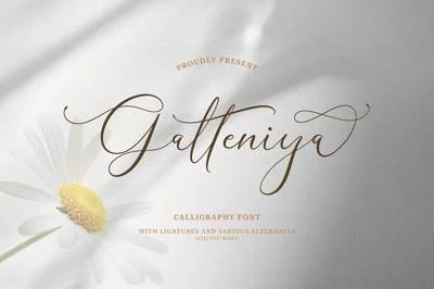 Galteniya | Beautiful Script