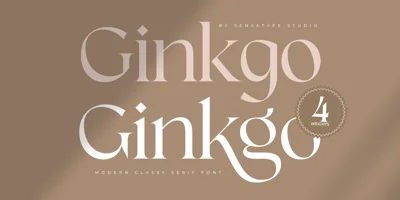Ginkgo SS Font