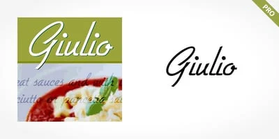 Giulio Pro Font