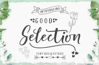 Good Selection Font Duo & Extras