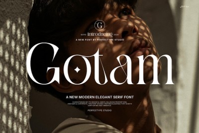 Gotam Elegant Serif Font