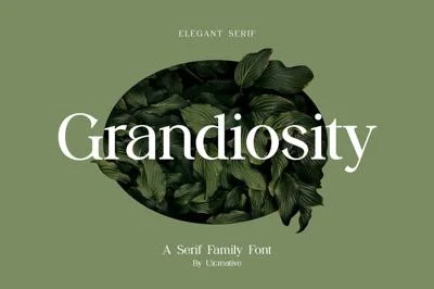 Grandiosity Elegant Serif Font