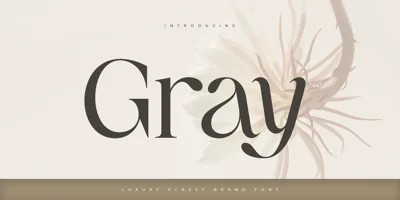 Gray Font