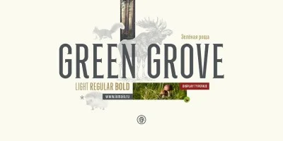 Green Grove Font
